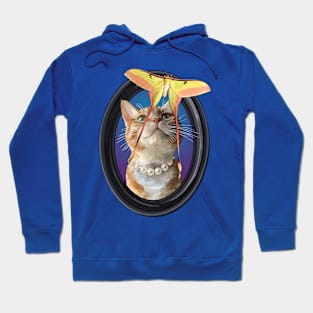 Ginger Tabby Cat Watching a Chinese Moon Moth Hoodie